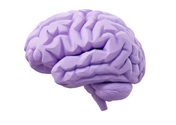 IQ